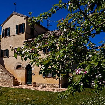 Bed and Breakfast I Ciliegi Озимо Экстерьер фото